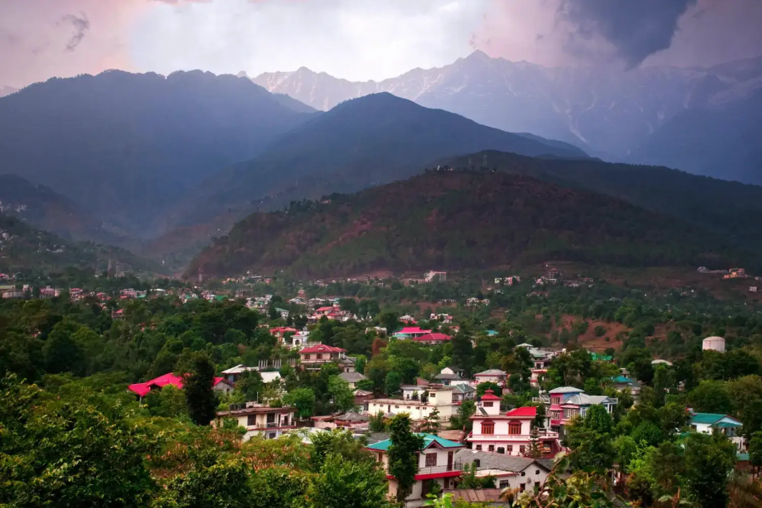 Himachal Buddha Circuit Tour