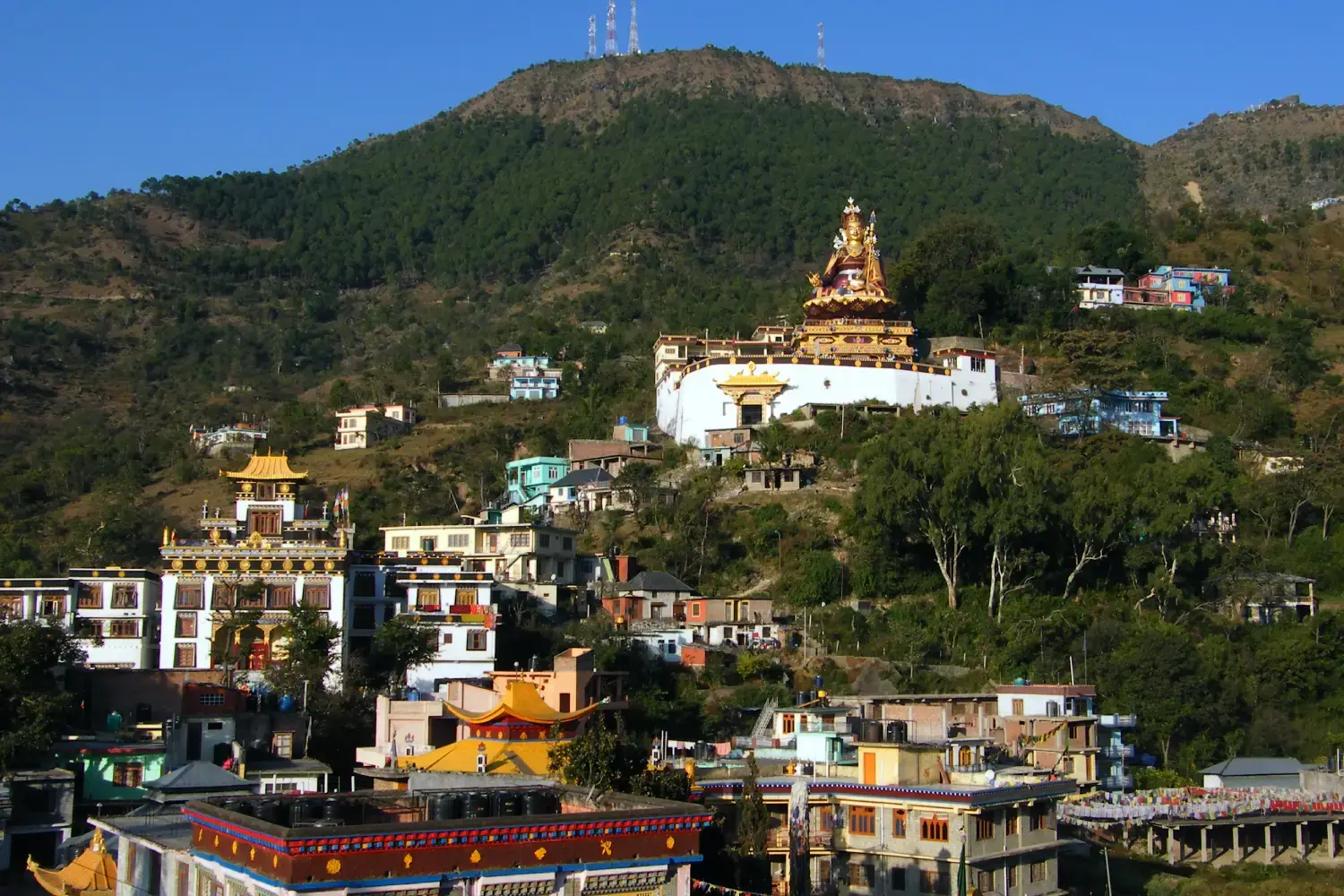 Rewalsar Buddhist Destination Himachal